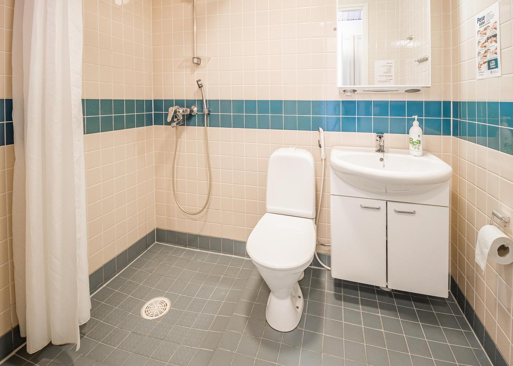 Hotel Honkiniemi Ahtari
