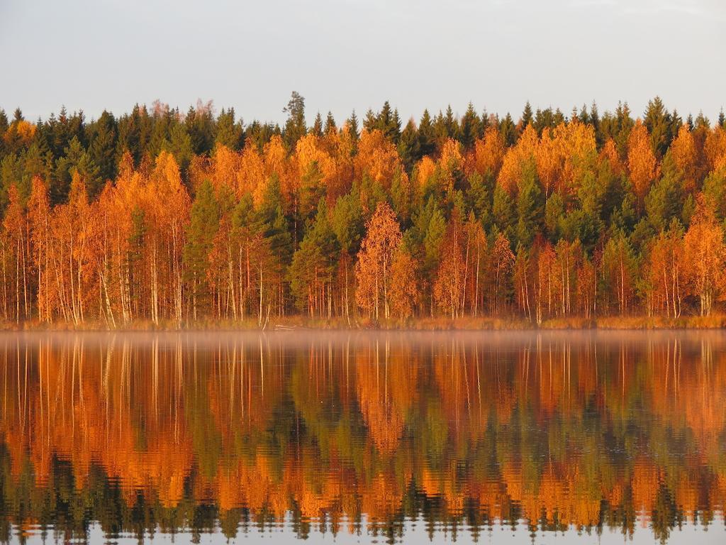 Hotel Honkiniemi Ahtari
